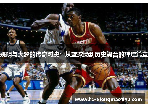 姚明与大梦的传奇对决：从篮球场到历史舞台的辉煌篇章
