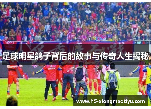 足球明星鸽子背后的故事与传奇人生揭秘