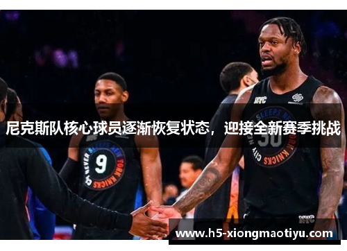 尼克斯队核心球员逐渐恢复状态，迎接全新赛季挑战